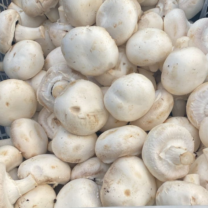 Champiñón, 1 Kilo