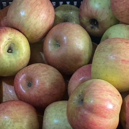 Manzana Fuji, 1 Kilo