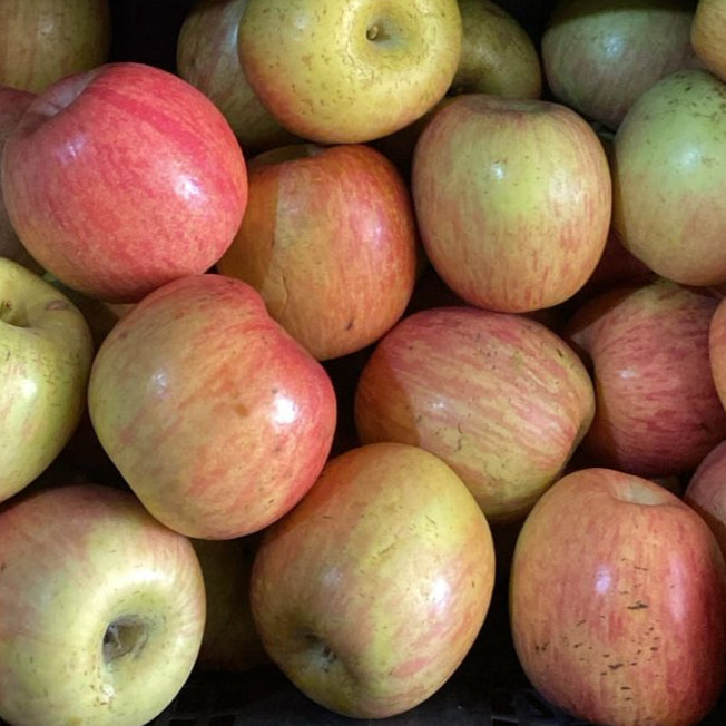 Manzana Fuji, 1 Kilo