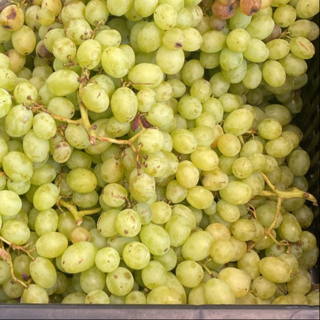 Uva, 1 Kilo