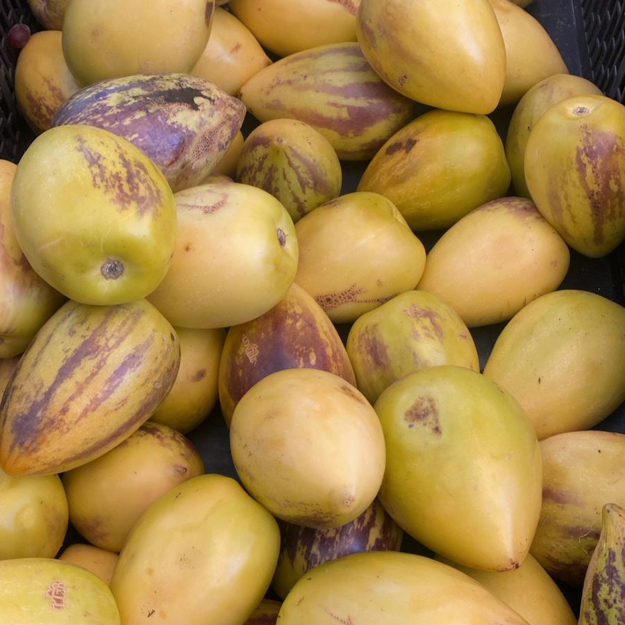 Pepino fruta, 1 Kilo