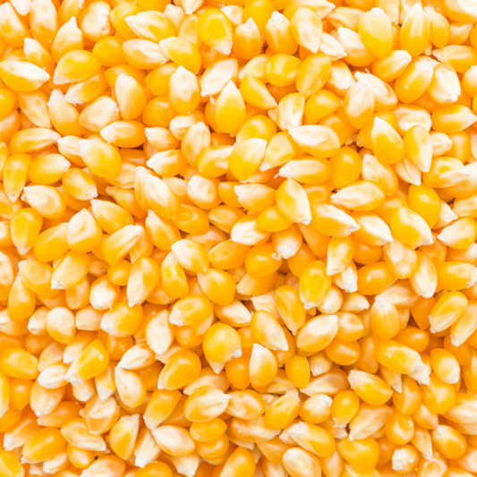 Maìz Curagua, 500 gramos
