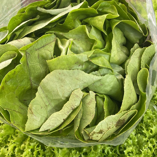 Lechuga española, Unidad