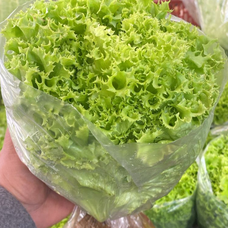 Lechuga Hidropónica, Unidad