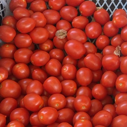 Tomate cherry , 1 Kilo