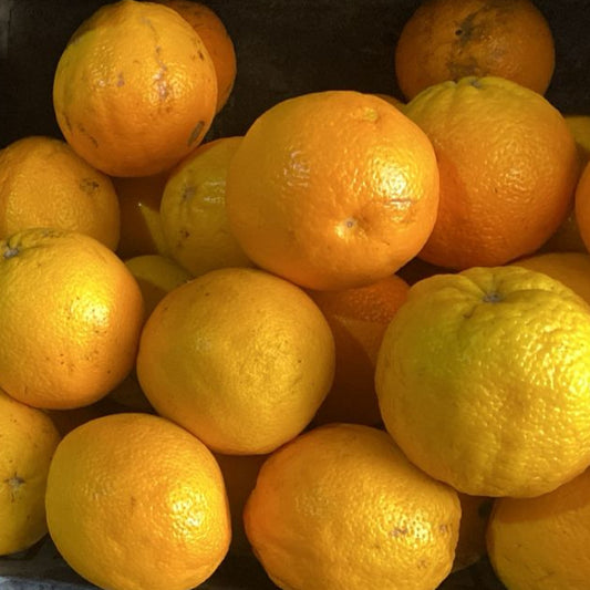 Naranjas, 1 Kilo